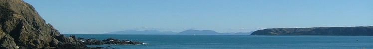 Looking out to sea from seashore at Mana, Wellington, New Zealand