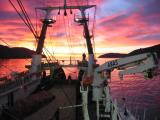 Trawler