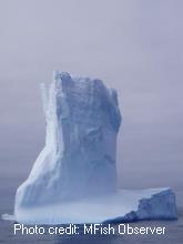 Iceberg