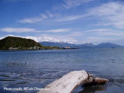 Coastline and mountains