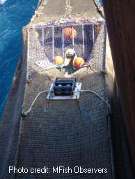 Sea lion exclusion device (SLED) and recording device