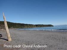 Hunts Beach, West Coast, South Island