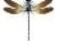 Dragonfly logo