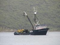 Purse Seiner