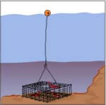 Diagram of Potting method