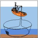 Diagram of Purse Seining fishing method