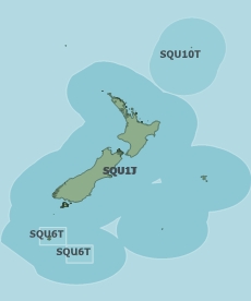 Arrow squid (SQU) - Catch